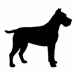 Dog Breeds Silhouette Svg Bundle, Dog Breed Svg,