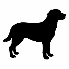 Dog Breeds Silhouette Svg Bundle, Dog Breed Svg,