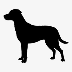 Dog Breeds Silhouette Svg Bundle, Dog Breed Svg,