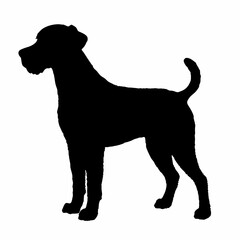 Dog Breeds Silhouette Svg Bundle, Dog Breed Svg,