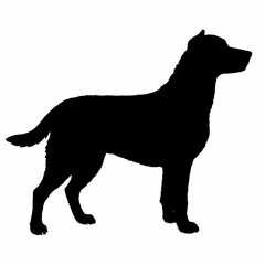 Dog Breeds Silhouette Svg Bundle, Dog Breed Svg,