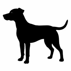 Dog Breeds Silhouette Svg Bundle, Dog Breed Svg,