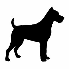 Dog Breeds Silhouette Svg Bundle, Dog Breed Svg,