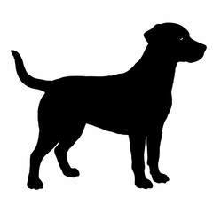 Dog Breeds Silhouette Svg Bundle, Dog Breed Svg,