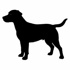 Dog Breeds Silhouette Svg Bundle, Dog Breed Svg,