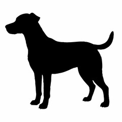 Dog Breeds Silhouette Svg Bundle, Dog Breed Svg,