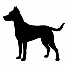 Dog Breeds Silhouette Svg Bundle, Dog Breed Svg,