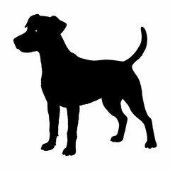 Dog Breeds Silhouette Svg Bundle, Dog Breed Svg,