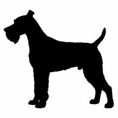 Dog Breeds Silhouette Svg Bundle, Dog Breed Svg,