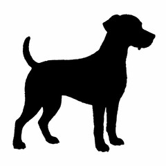 Dog Breeds Silhouette Svg Bundle, Dog Breed Svg,