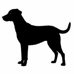 Dog Breeds Silhouette Svg Bundle, Dog Breed Svg,