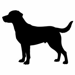 Dog Breeds Silhouette Svg Bundle, Dog Breed Svg,