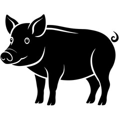 pig on a white background