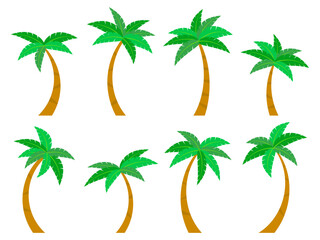 Obraz premium Palm trees icon set isolated on white background. Collection of tropical palm trees with green foliage. Tropical trees vector illustration. Design for banners, covers and posters.