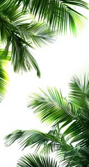 Naklejka premium Vibrant palm leaves in a tropical setting, creating a lush and serene atmosphere perfect for relaxation and nature themes.