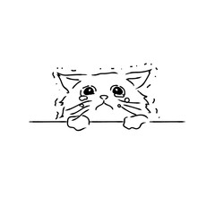 涙ウルウル泣いて謝るごめんなさい猫