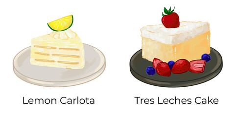 Mexican Food Illustration Set Taco Chilaquiles Nachos Quesadilla Pozole Enchilada Taquito