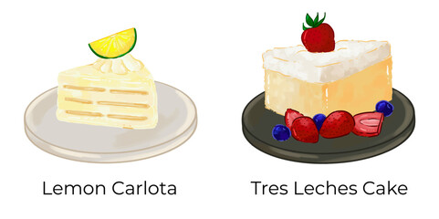 Mexican Food Illustration Set Taco Chilaquiles Nachos Quesadilla Pozole Enchilada Taquito