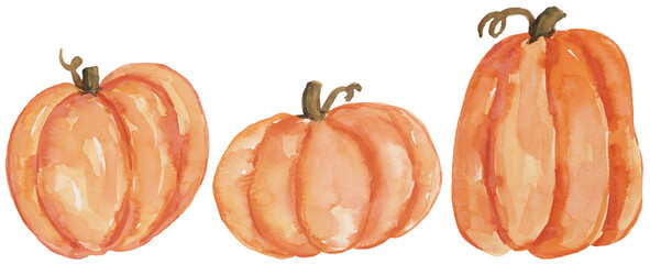 Watercolor pumpkin collection on isolated background. Autumn, Fall, Thanksgiving hand painted illustration clip art