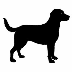 Dog Breeds Silhouette Svg Bundle, Dog Breed Svg,