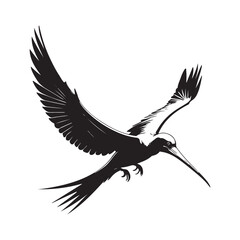 Frigatebird line art vector silhouette with white Background