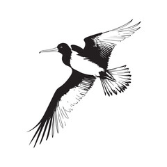 Obraz premium Frigatebird line art vector silhouette with white Background