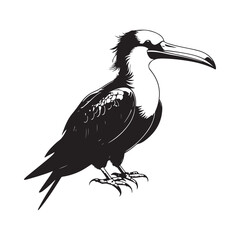Frigatebird line art vector silhouette with white Background