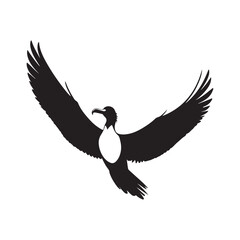 Fototapeta premium Frigatebird line art vector silhouette with white Background