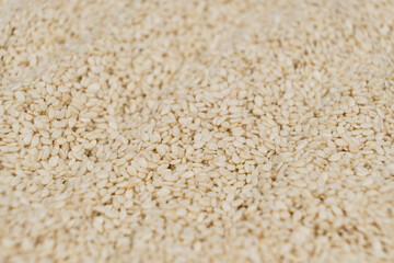 White sesame background, close-up, side view.