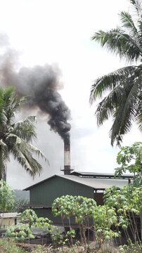 Industrial factory pollution from palm oil factory in Indonesia. Smoke coming out of the chimneys at the sunny day