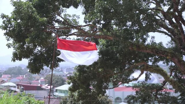 Indonesian flag waving at windy day with green trees in the background