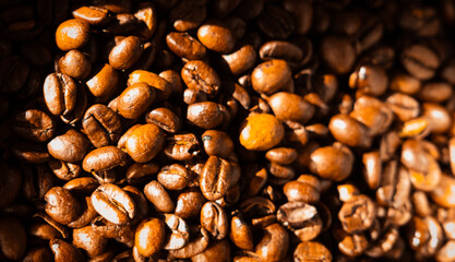 Kaffeebohnen in sonnigem Licht