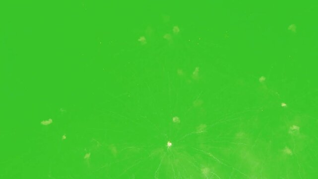 Bright lightning firework display during the festival celebration on green screen background