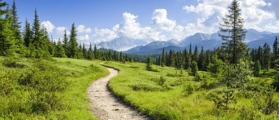 A dirt trail winds through a grassy field, flanked by trees on either side Mountains loom in the backdrop