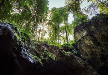 Inside the mountains with trees above