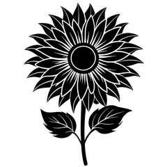 sunflower illustration