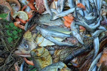 a pile of different fish and shrimps lie on the ground on a summer street