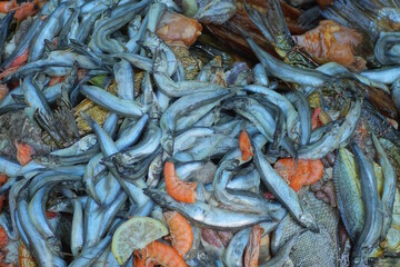 a pile of small grey sea fish and red boiled shrimps on the street