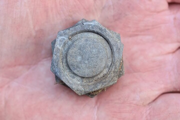 one iron small brown rusty nut lies on the palm of the hand