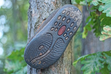 garbage from a piece of old shoes with a black rubber sole hanging on a branch on a gray tree outside in nature