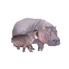  Hippopotamus mother and child , watercolor painting