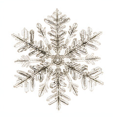 A delicate, six-pointed snowflake, captured in intricate detail, against a pure white background.