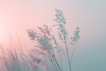 A serene landscape of grass shrouded in fog during a tranquil sunset, creating a peaceful and ethereal atmosphere, Muted tones and soft gradients representing the gentle, 