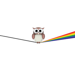 Owl standing on rainbow line. Bird is symbol of freedom and Pride pattern is symbol of the fight for equality.