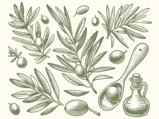 Detailed green drawing of an olive branch on a white background. Raster, generative ai.