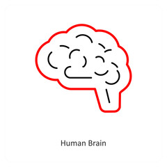 Human Brain