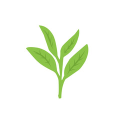green tea leaf vector icon