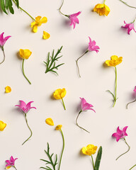 Yellow and purple flowers, green leaves on pastel beige background, minimal pattern, aesthetic floral flat lay photo. Beautiful nature still life with wildflowers bellflower and Ranunculus