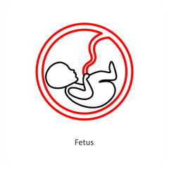 Fetus