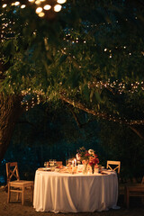 decor on a wedding table in the evening on the street